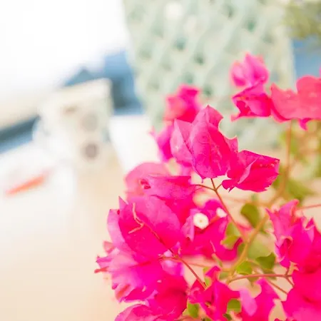 Apartment Dream Holiday *